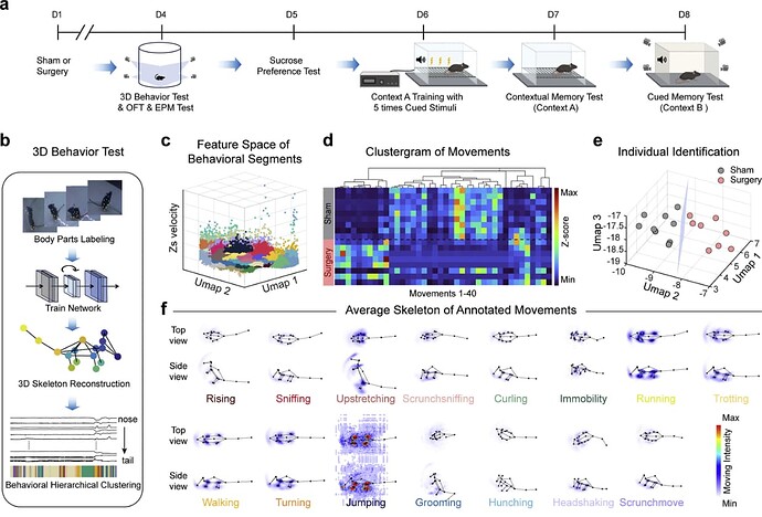 65af0bf3-aa8d-4f25-bc00-255b8a80a6c6