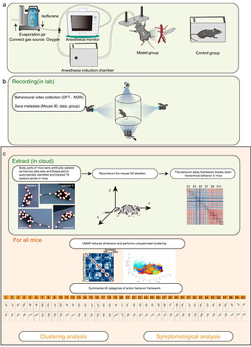 2165ea15-c3ab-4ebd-bcca-e0bf9582d14b