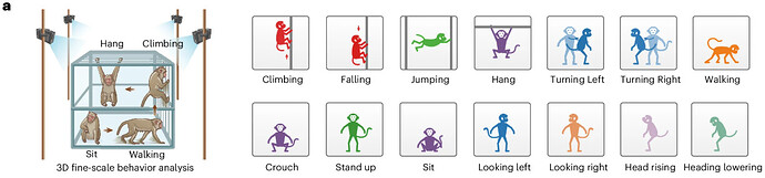 0cc6ca2f-f1d3-4f13-8637-026c64d394d0