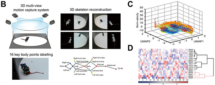 81dc4782-b88e-4cf5-a10b-2009deaac2a0