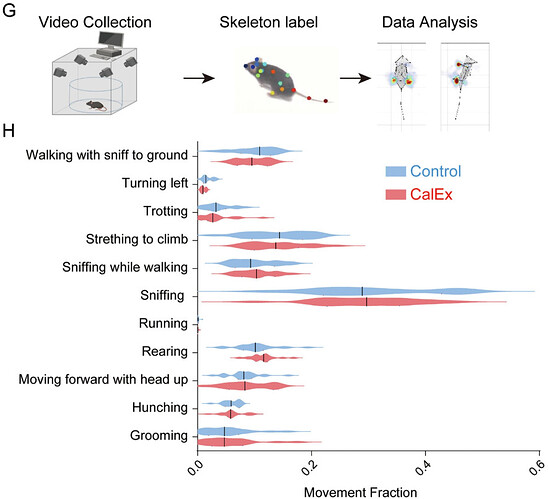 5a02d768-b372-4fb6-a93f-8affba3273e9