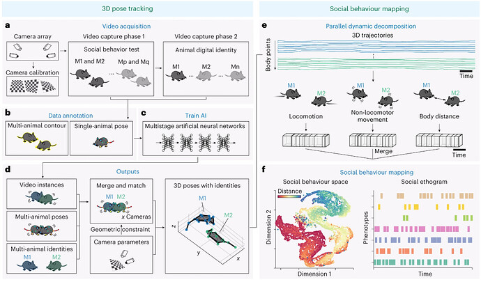 bf500fce-8f74-4104-9226-d5573b5e7eca