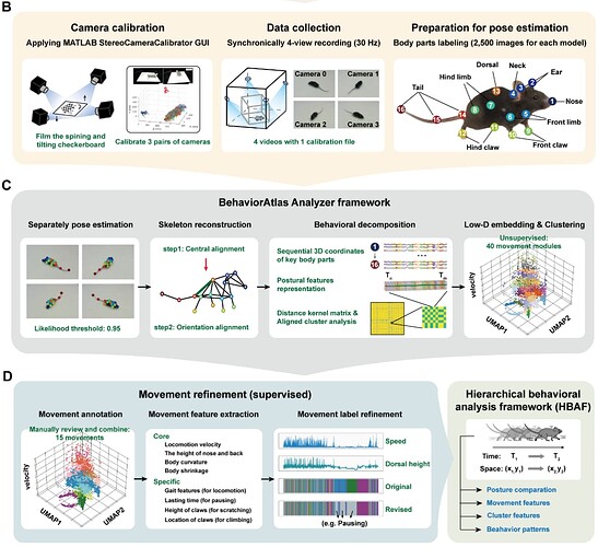 58ee82aa-dcf2-4493-af92-981c2d43b313