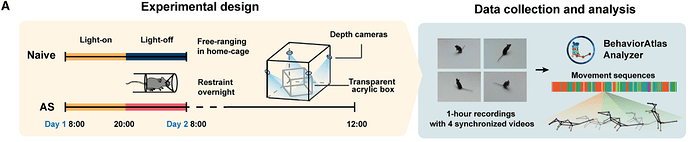 0268294f-408e-44e6-b041-a073a0ebd3eb