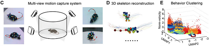 3c4180e4-115a-4680-82a5-df85297a4f96