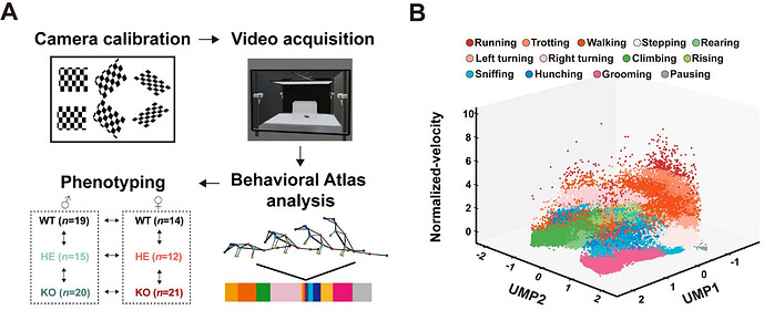 e1a669fe-d49d-4b86-bef2-774a71f92ed3