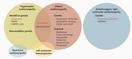 图源：Watkins H, et al., N. Engl. J. Med, 2011