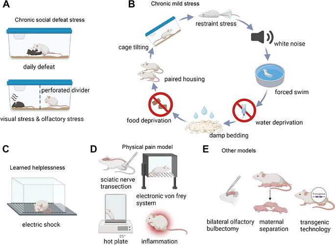图 3. 抑郁症动物模型[1]