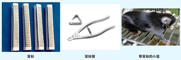 19f80eee-4ef0-48e5-afa4-8009a1be9fb1