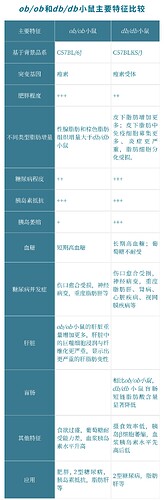 图3 ob/ob和db/db小鼠主要特征比较