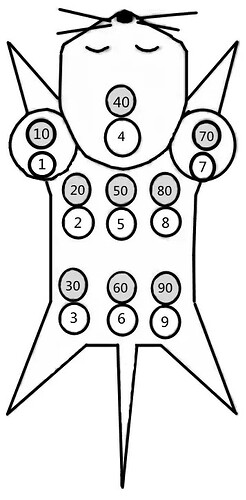 图1 染色法示意图-九分法