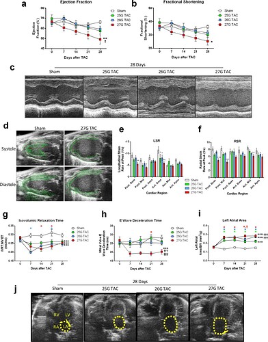 图源：Richards DA, et al., Sci Rep, 2019