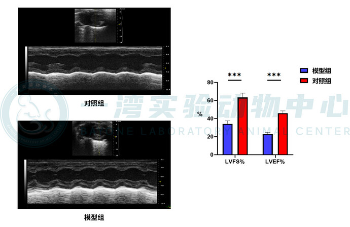 数据来源:一湾实验动物中心