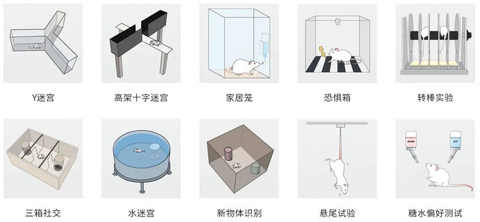 一湾实验动物中心行为学测试平台