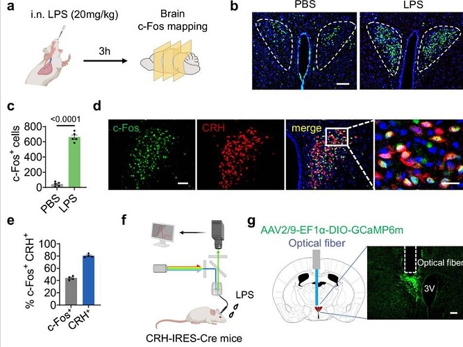 img_v3_02t7_65062b02-5f3e-4820-bc0e-f67123a9d2cg