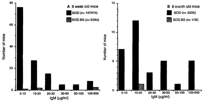 图1 (A) 8周龄及(B) 8月龄的SCID、SCID Beige小鼠的IgM水平。IgM > 5 μg/ml被认为是发生了免疫渗漏。