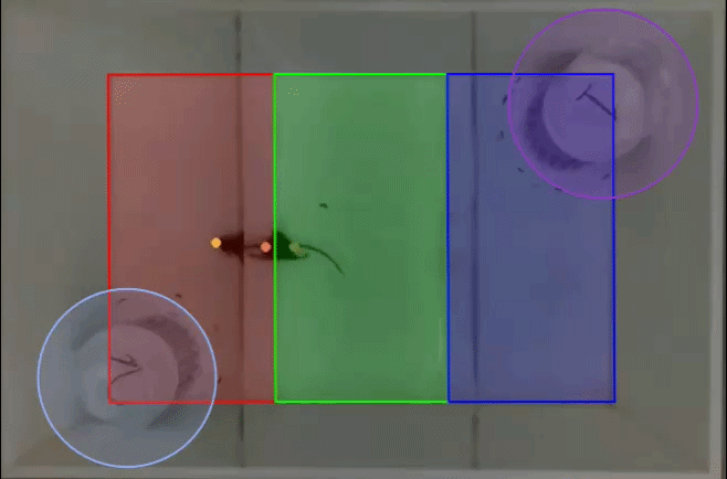 2-ezgif.com-video-to-gif-converter (1)