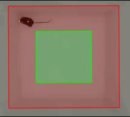 ezgif.com-video-to-gif-converter (3)