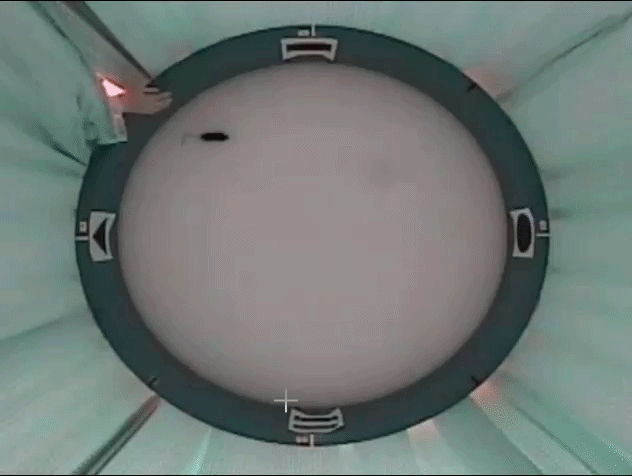 ezgif.com-video-to-gif-converter (4)